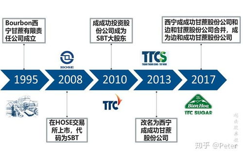 越南食品行業(yè)新星 SBT公司財務咨詢及業(yè)務簡介