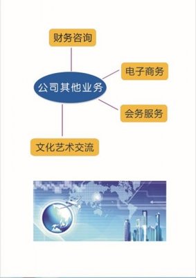 上海光謙企業管理咨詢 專業財務咨詢，賦能企業穩健發展